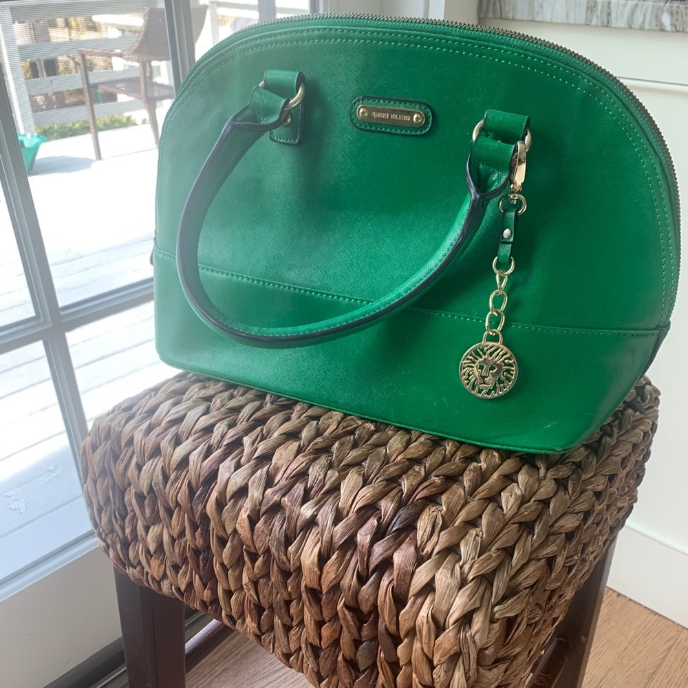 Anne Klein Bag